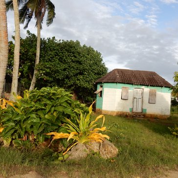 An old Tongan house