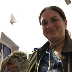 emily segal holding an owl