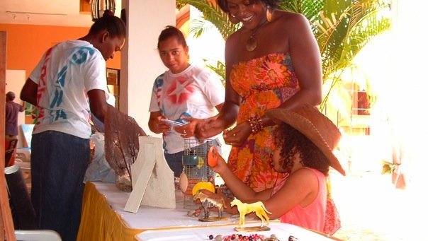 Community Economic Development Volunteer (Dominican Republic)
