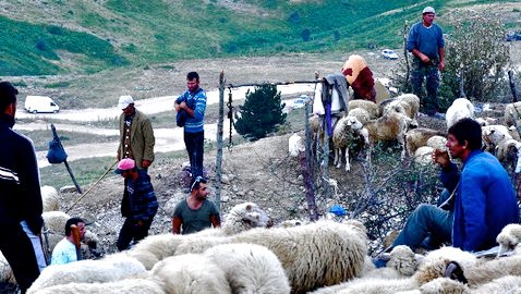 Bektashizëm