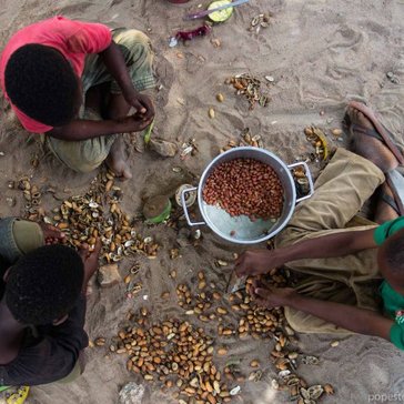 Stephen Pope peanut sorting