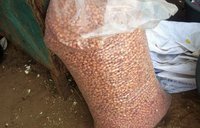 Peanuts
