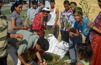 Here, school students in Nepal pack out tree seedlings.