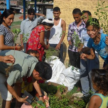 Here, school students in Nepal pack out tree seedlings.