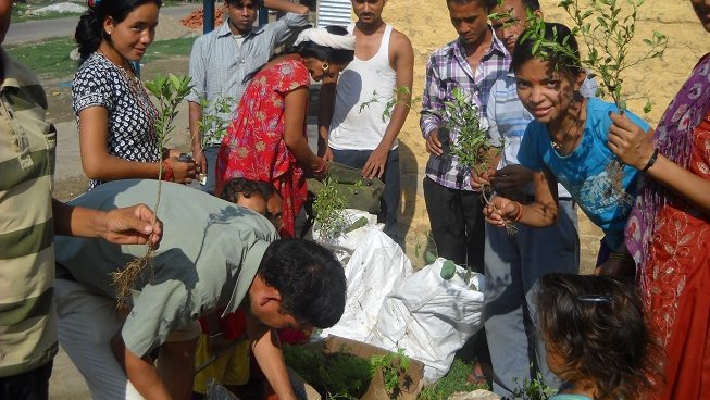 Here, school students in Nepal pack out tree seedlings.