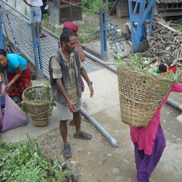 Community members distribute tree seedlings and carry them to different areas.