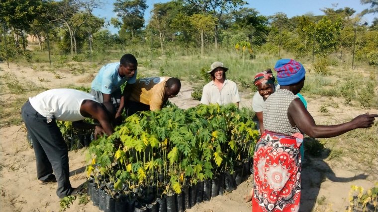 James supports a community tree nursery and garden where community members learn sustainable methods of tree planting and gardening.