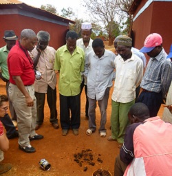 Community members learn how to harvest termites