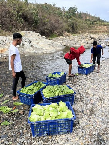 Sina supports local farmers with crop diversification and more in Timor-Leste.