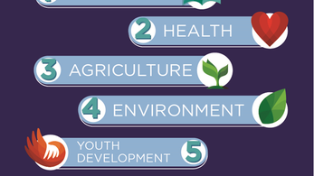 Graphic of the Volunteer sectors