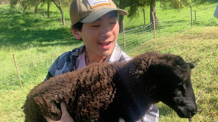 Kevin meets one of many sheep on a cheese-producing farm in Colombia.