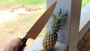 How to eat a pineapple