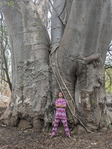 William enjoys the native trees of Senegal.