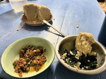 ugali