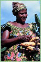 Photo of woman in field in Ghana.